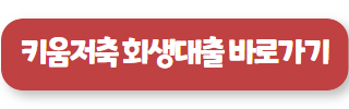 개인 회생 대출 14
