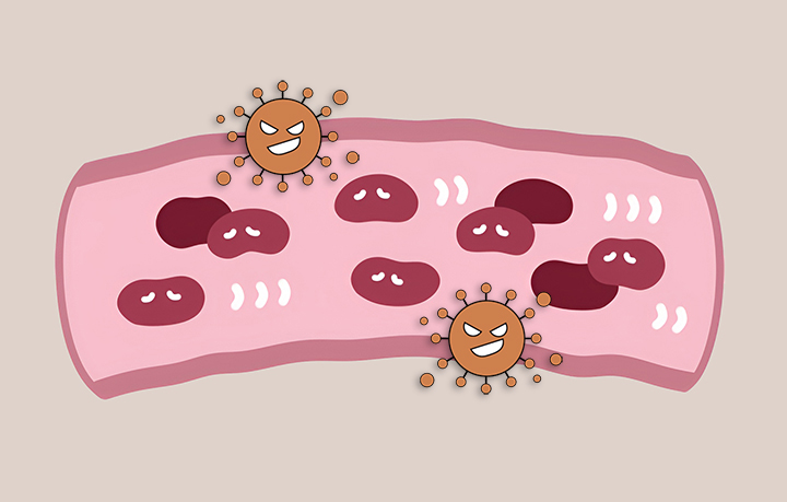 C형-간염-바이러스가-전염되는-모습