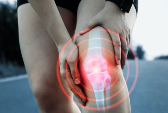 콘드로이친-효능