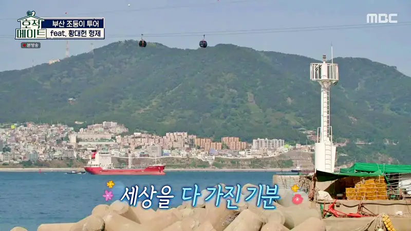 호적메이트 부산 조준호 조둥이 황대헌 형제 현지인 추천 모듬회 전복 해삼 소라 해산물 먹은 맛있는 포차 맛집 추천