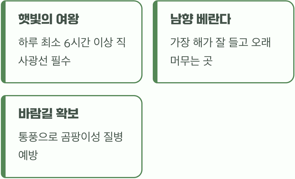 치명적인 매력을 위한 최고의 명당