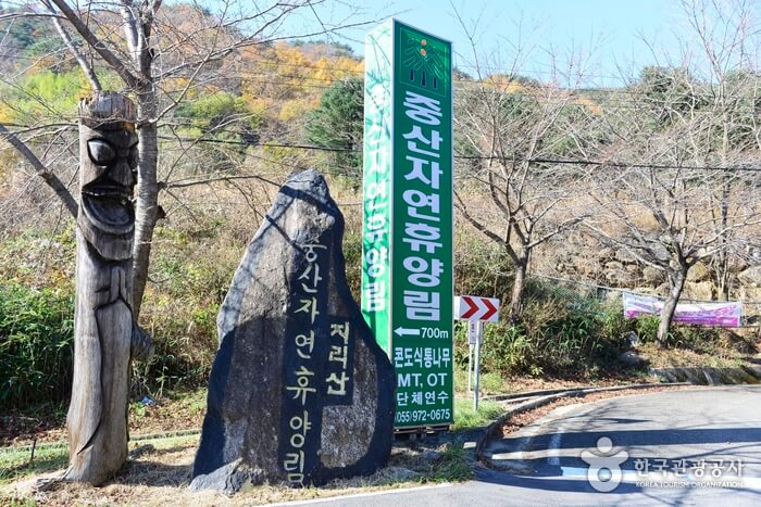산청 가볼만한곳 베스트 10