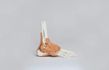 발뒤꿈치