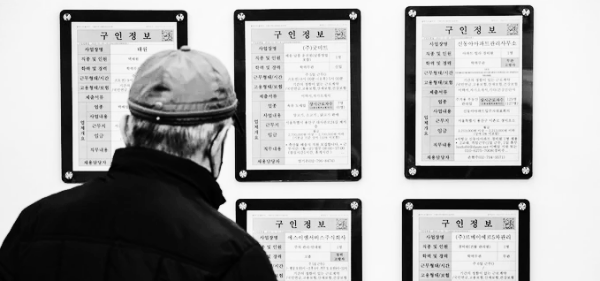 65세 이상 구직 현황