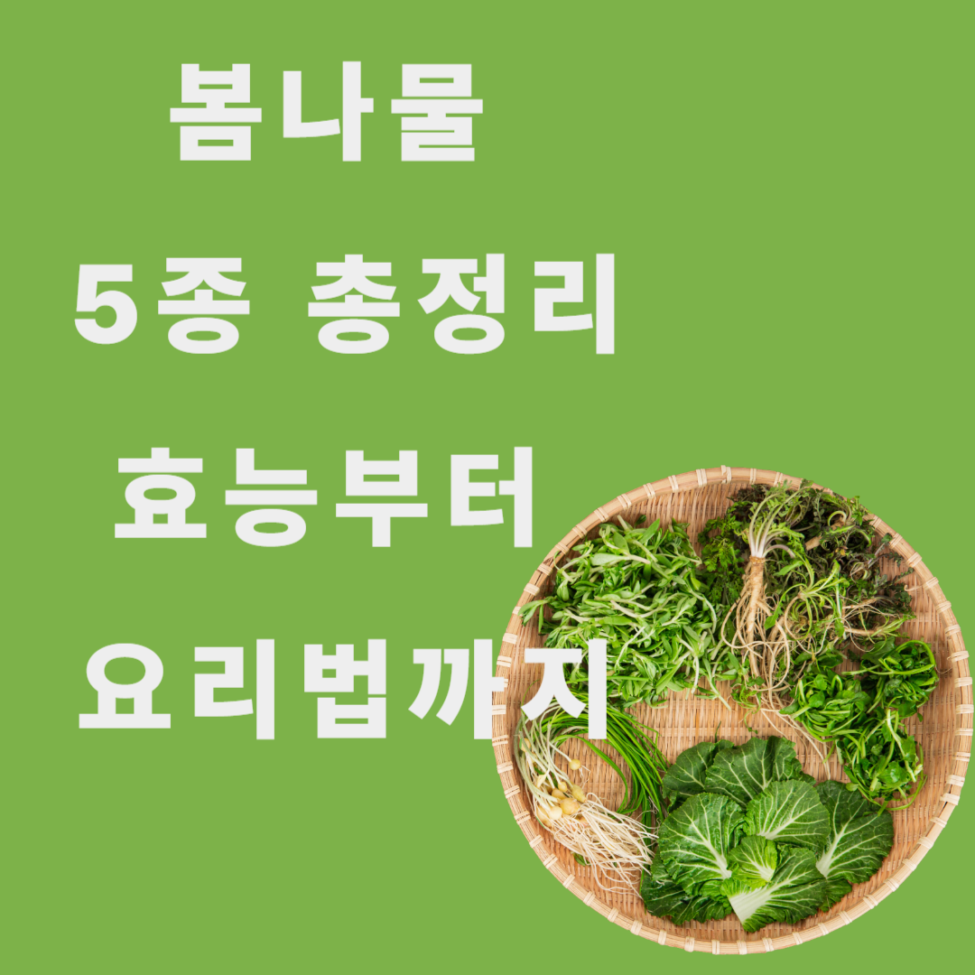 봄나물 5종 총정리