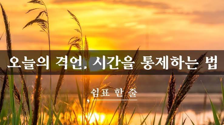 최미나수 첫 독립집