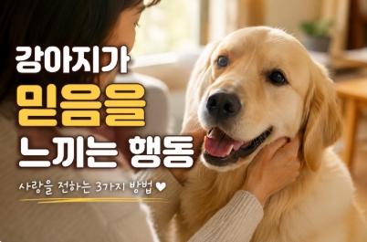 반려견이 보호자에게 믿음을 느끼는 행동을 설명하는 이미지