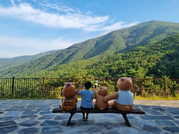 보현산 자연휴양림