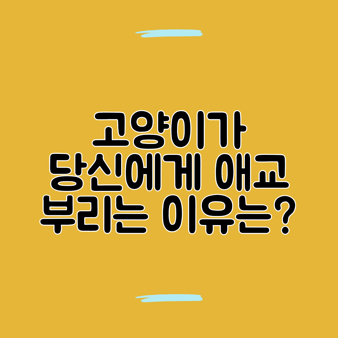 고양이가 당신에게 애교 부리는 이유는