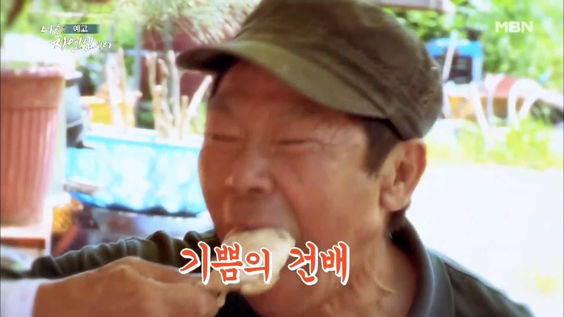 이승윤 윤택 나는 자연인이다 515회 울화로 가득찼던 지난날의 자신과 화해하며 사는 산골 자연인 박세귀 소개 및 출연 다시보기