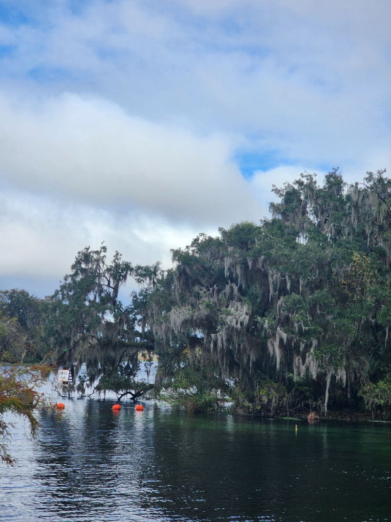 View of Blue Springs Park Florida