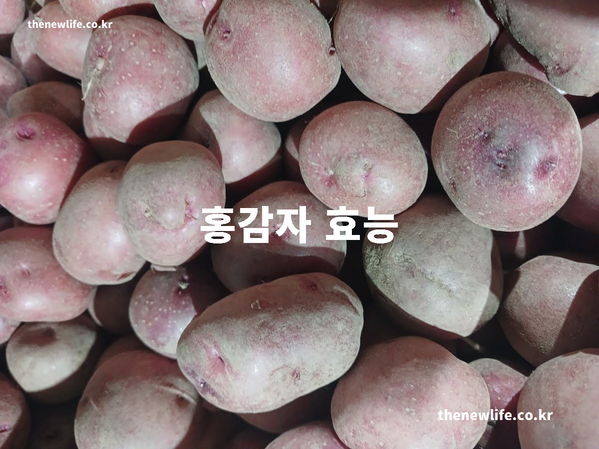 홍감자 효능 대표 실사진