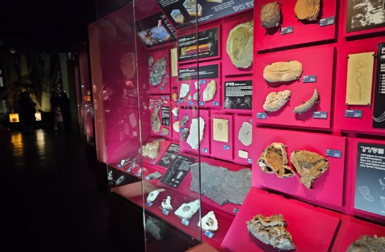 우석헌 자연사박물관