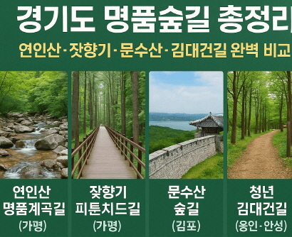 경기도 명품숲길 어디가 좋을까? 5대 대표 숲길 장단점 한눈에