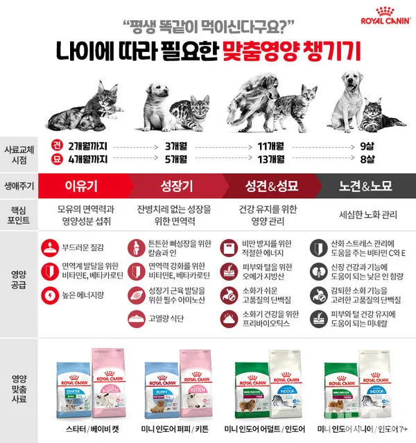 반려동물 건강 위한 최신 연구 동향 소개_8