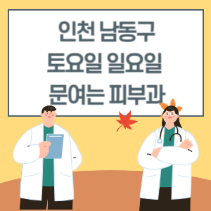 인천 남동구 토요일 일요일 피부과 진료 병원 리스트