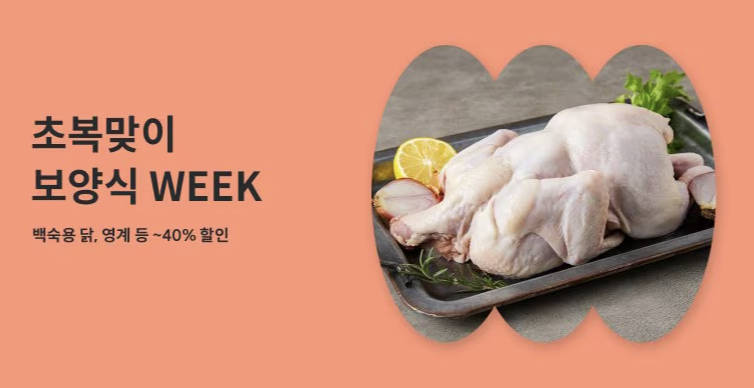 2024초복중복말복 삼계탕 식중독예방법 생닭세척법 마트할인쿠폰 홈플러스쿠폰 이마트할인 캠필로박터