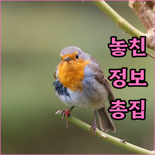 군위 한부모가정 2025 설 추석 명..