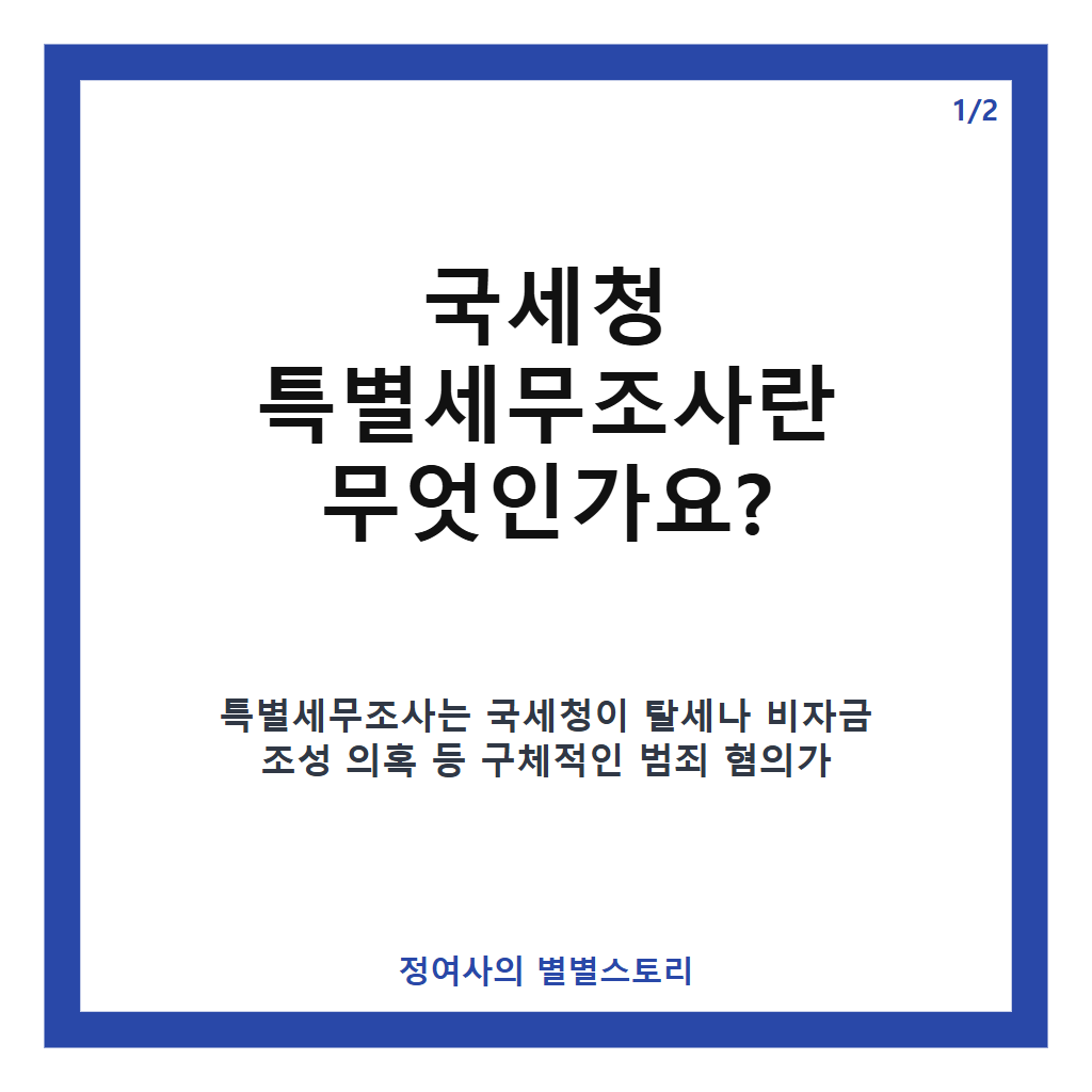 국세청 특별세무조사 핵심 내용과 금융권 세무 리스크 관리 전략 총정리 카드뉴스 1