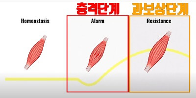 근성장의-원리