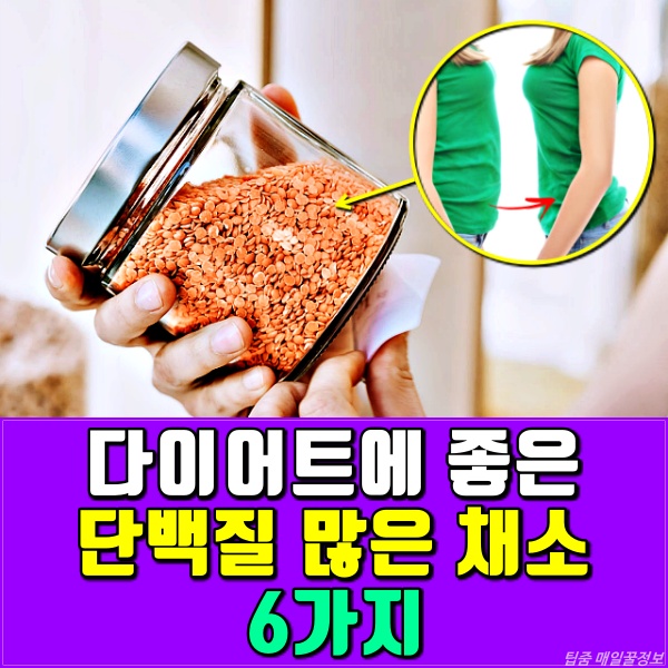단백질 많은 채소,방울양배추 다이어트식단 추천