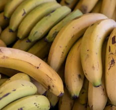 역류성식도염에 좋은 음식 영양제 식단