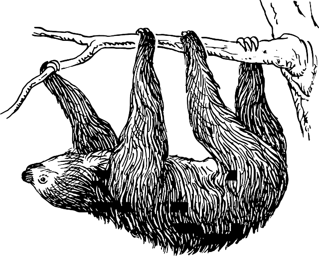 시간 속 건강: 느리게 사는 삶이 몸을 살린다