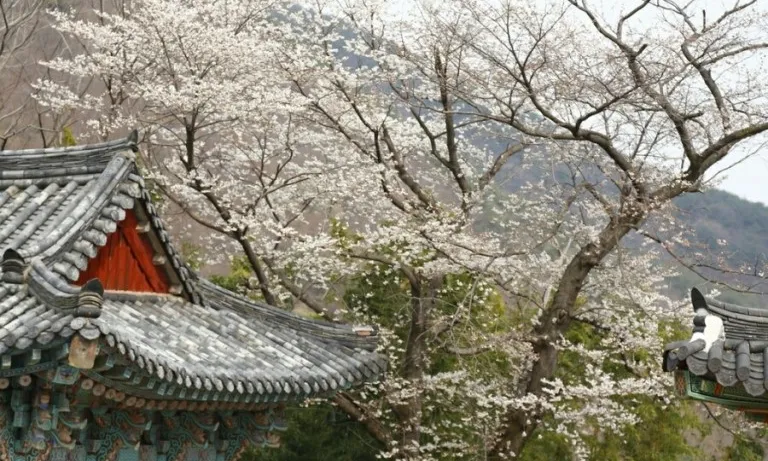 범어사 사진