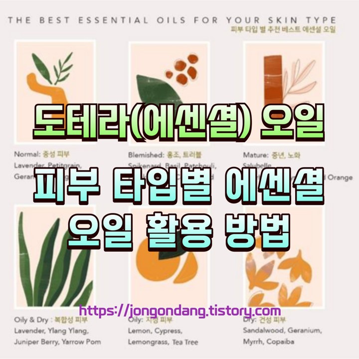 피부 타입별 도테라 에센셜 오일 활용 방법 이미지