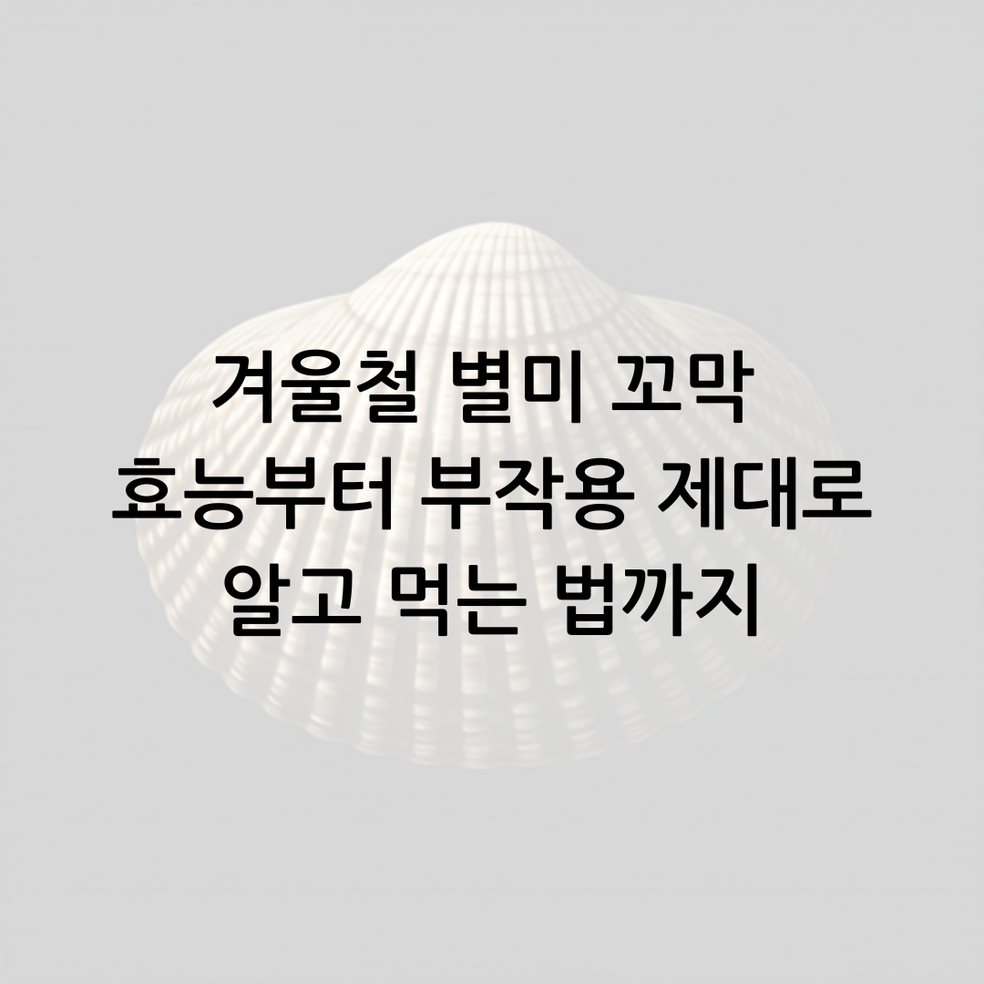 겨울철 별미 꼬막 효능부터 부작용 제대로 알고 먹는 법까지