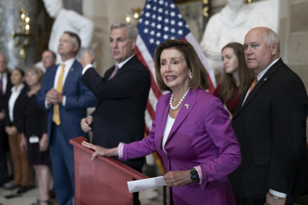 낸시 펠로시 정치 활동