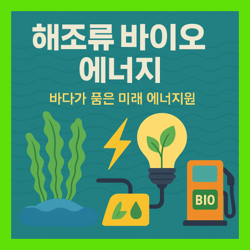 바이오 에너지, 해조류 에너지원 및 활용 가능성