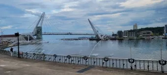 속초 대포항 맛집 추천 회센터 근처 인기 식당 리스트_6