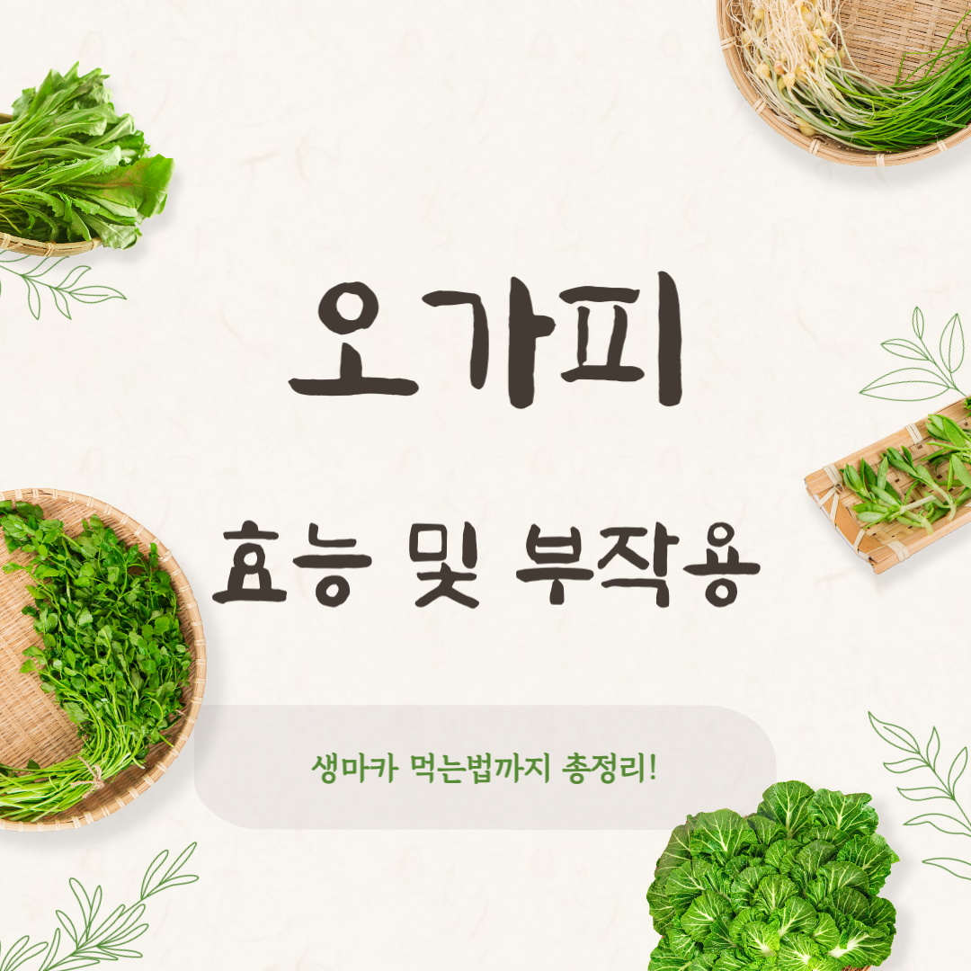 오가피 효능과 부작용