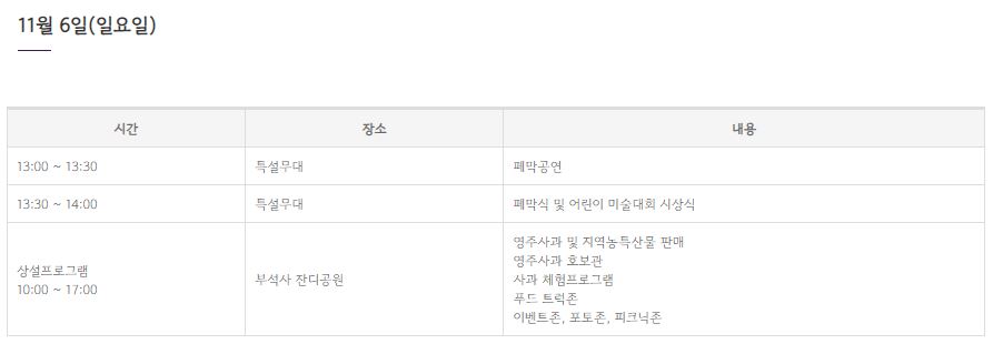 11월 축제