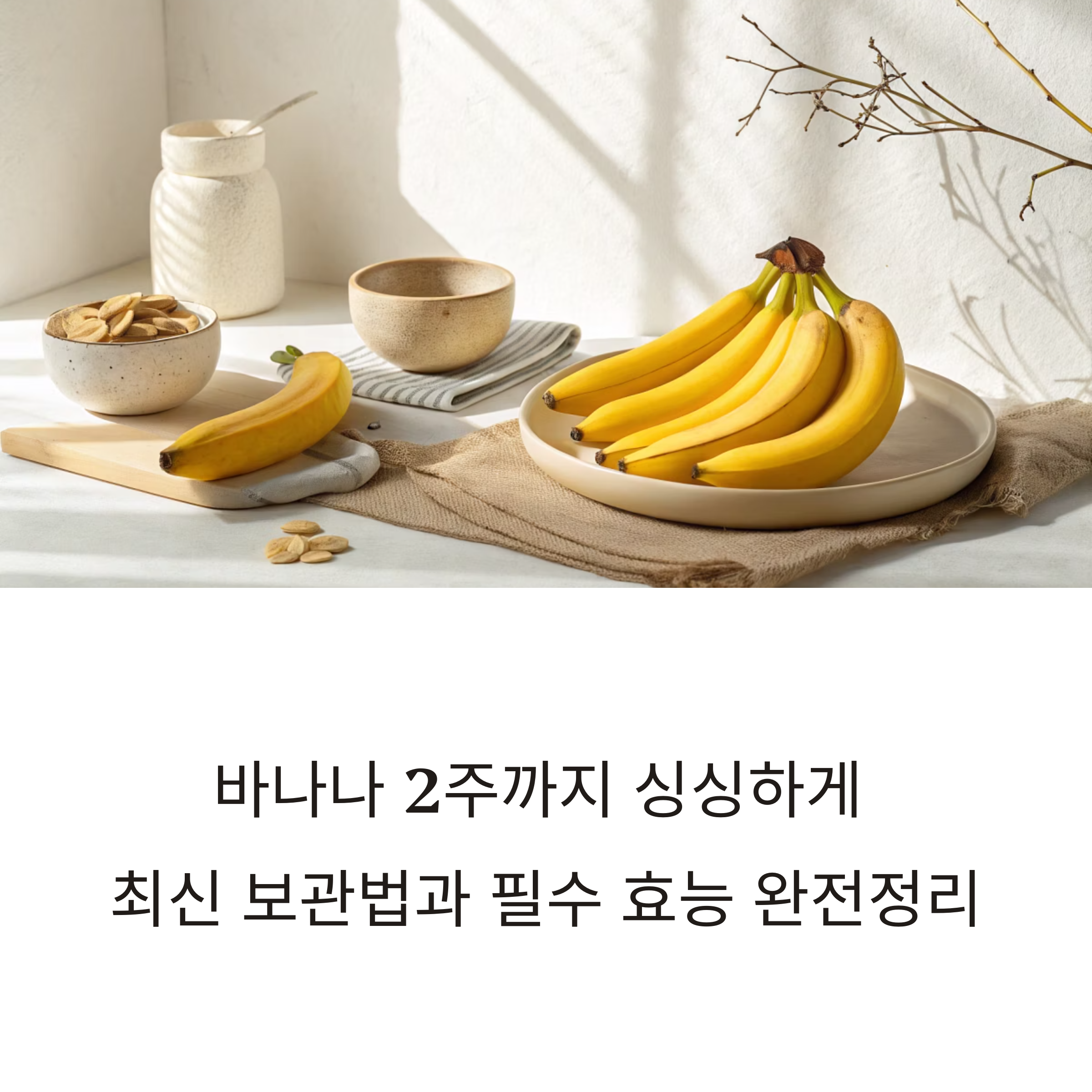 최신 냉장·냉동 보관법과 필수 효능 완전정리