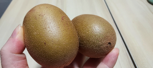 손으로 키위를 들고 있는 사진