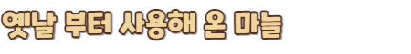마늘의 역사