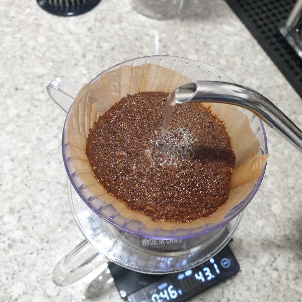 메리타 드리퍼로 온도계 및 저울 없이 아이스 커피 추출하기 with 다이소 드립포트_1차 물 붓기