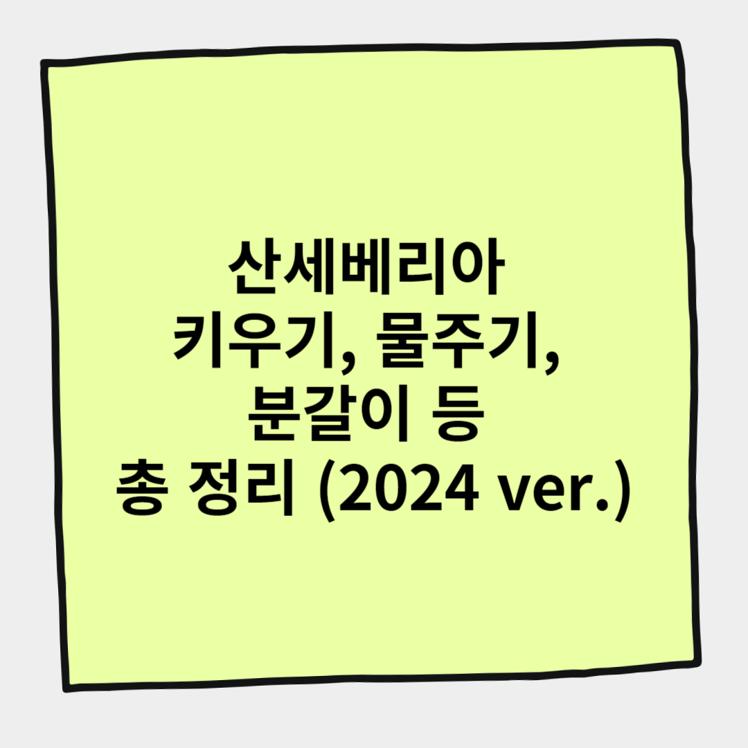 산세베리아 키우기, 물주기, 분갈이 등 총 정리 (2024 ver.)