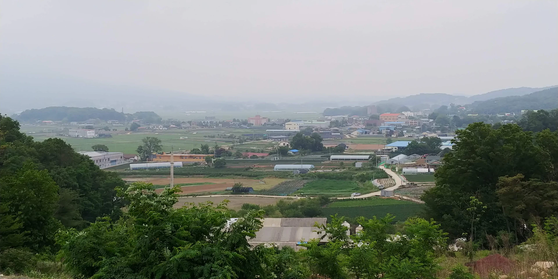 강화 들판 전경