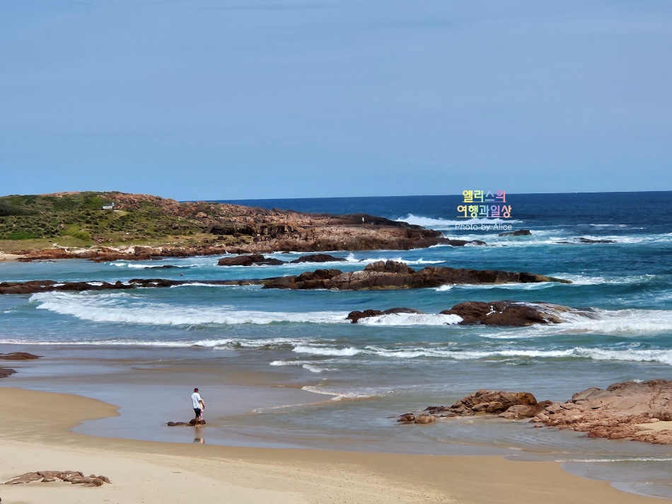호주 시드니 사막 포트스테판 투어 솔직후기 가격 코스 야생 돌고래 크루즈