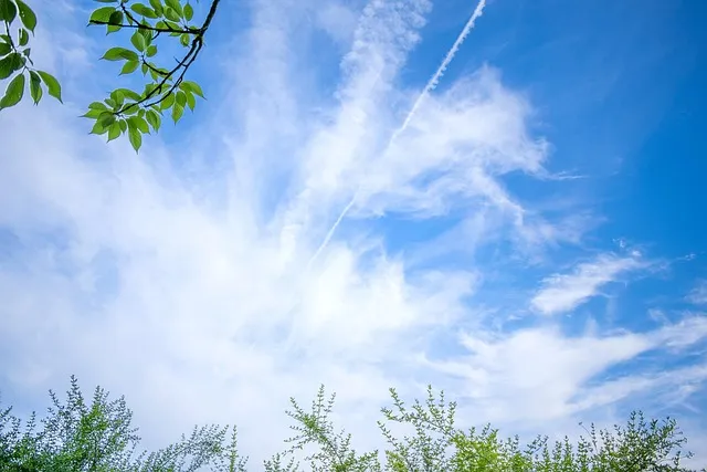 생생정보 장사의 신 텍사스식 바비큐 맛집 위치_9