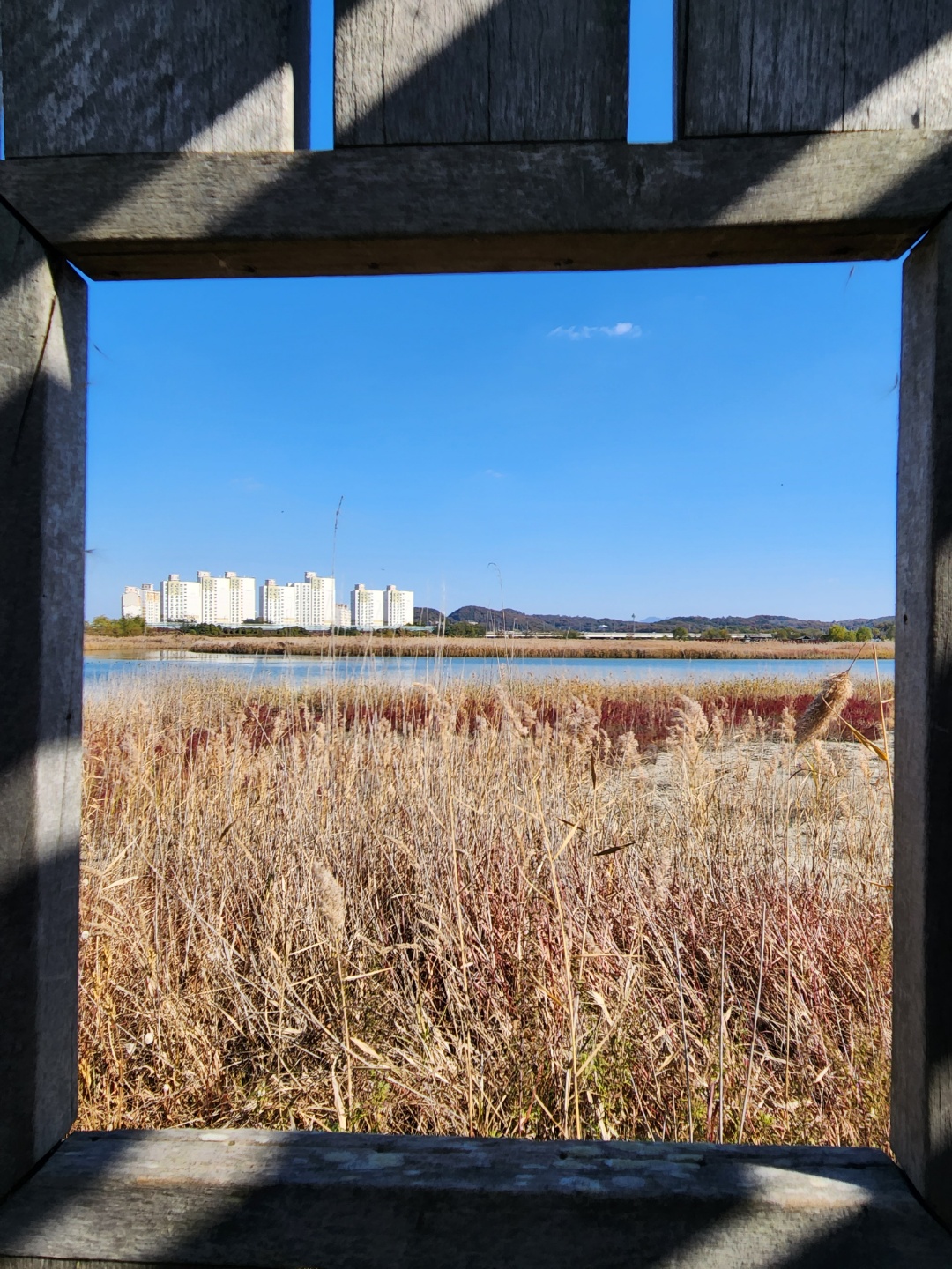 소래습지 생태공원 풍경