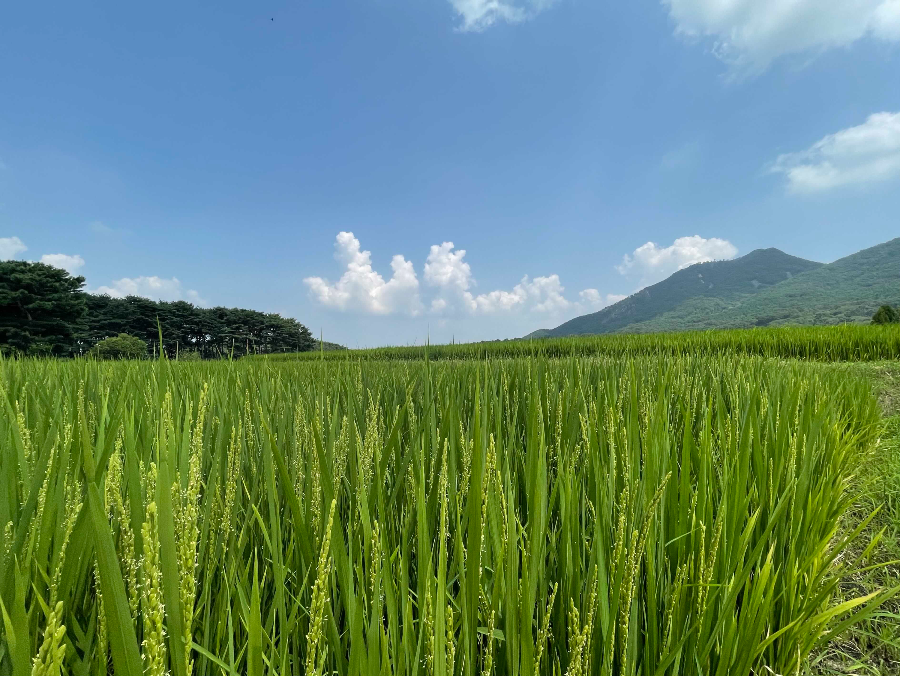 아산 외암민속마을