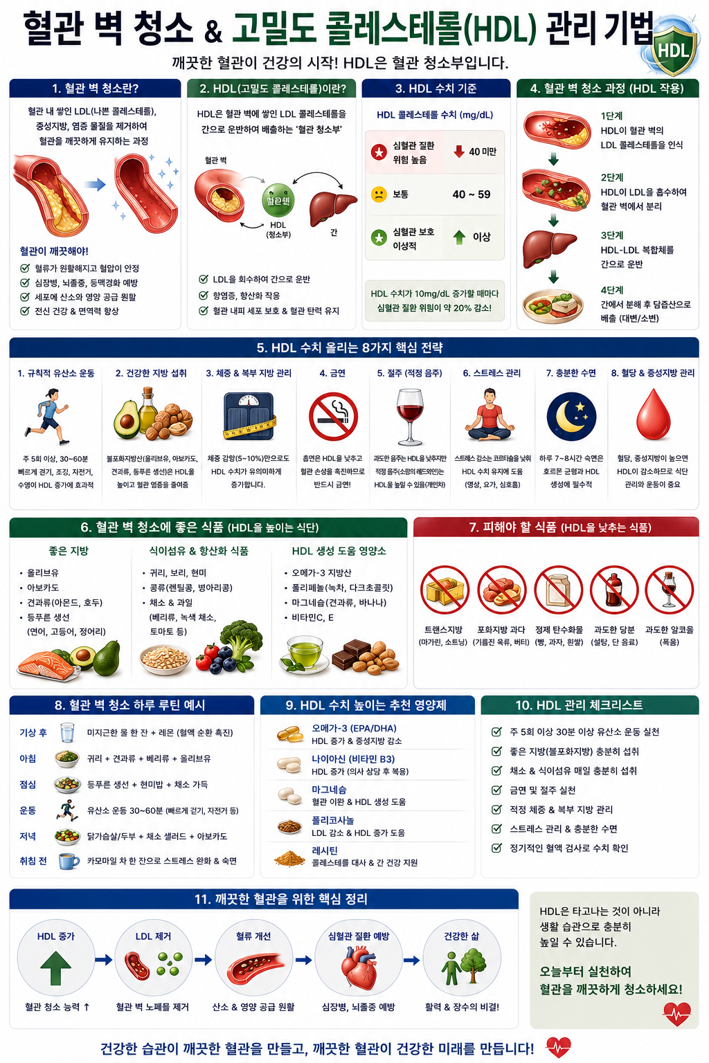혈관 벽 청소 고밀도 콜레스테롤 관리 기법