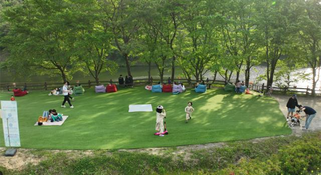 2025 화순 봄꽃 축제