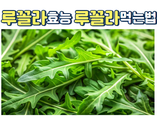 루꼴라 효능