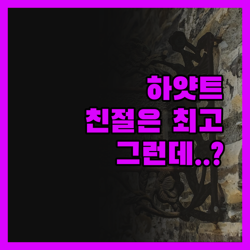아메다바드 하얏트 리젠시, 솔직 후기