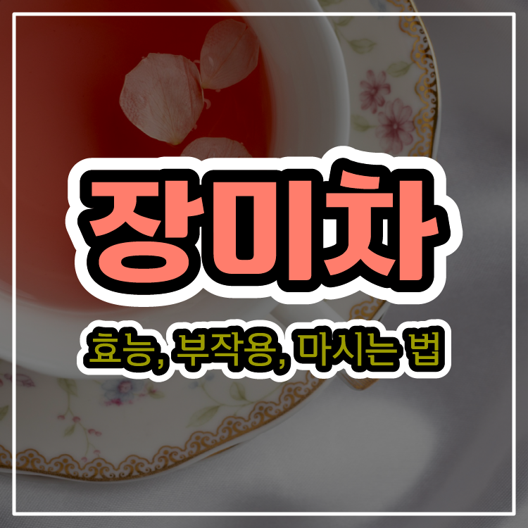 생리통에 좋은 장미차의 효능, 부작용, 마시는 법